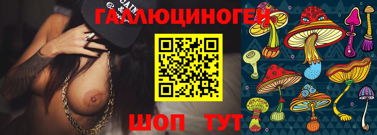 Галлюциногенные грибы Psilocybine cubensis  Псилоцибиновые грибы MAGIC MUSHROOMS  Пугачёв  Вход с VPN 