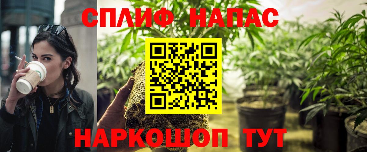 Бошки марихуана сатива Пугачёв